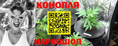 твердый Будённовск