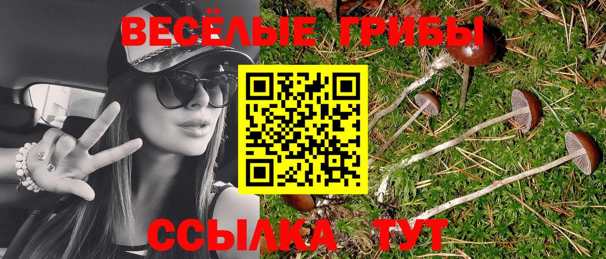 Псилоцибиновые грибы MAGIC MUSHROOMS  Вход с VPN  Шатура 