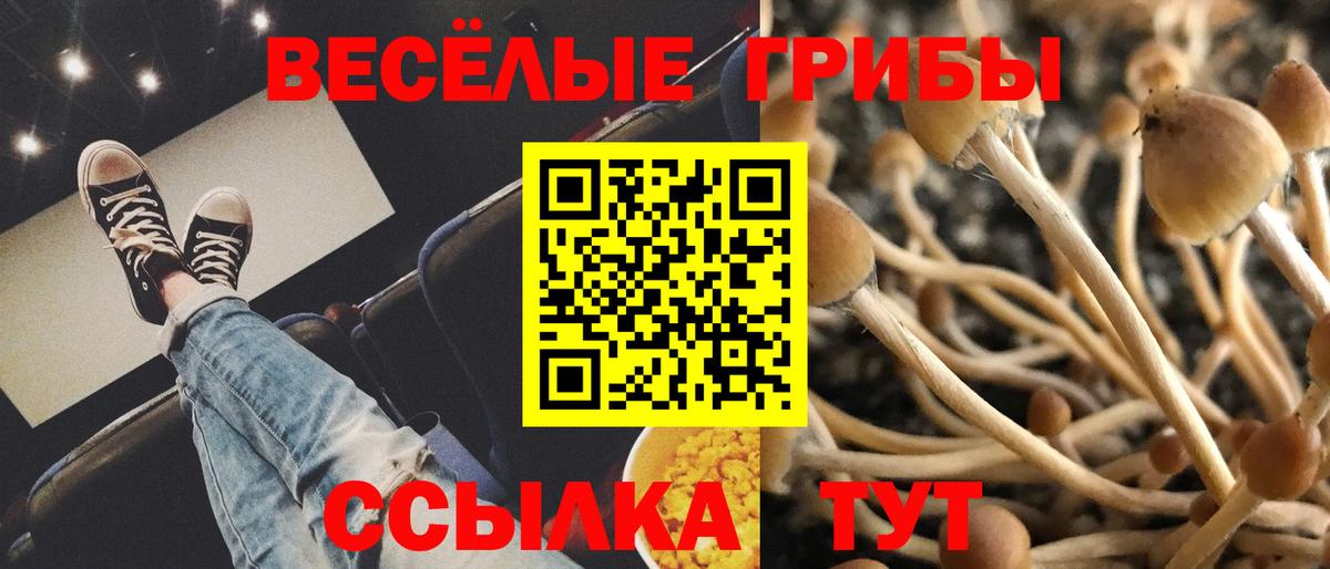 Псилоцибиновые грибы ЛСД Шатура